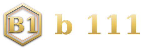 b 111 logo